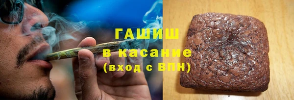 индика Бородино