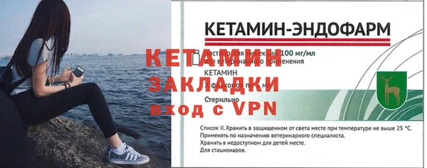 индика Бородино