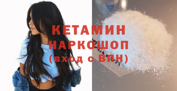 индика Бородино