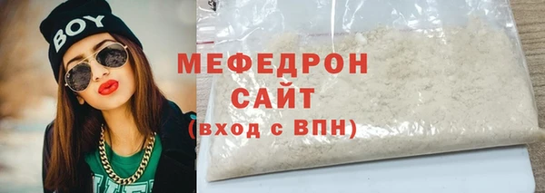 индика Бородино
