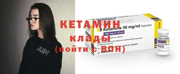 индика Бородино