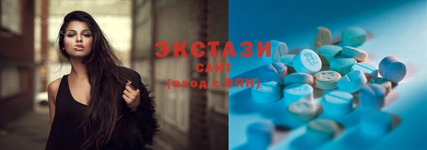 индика Бородино