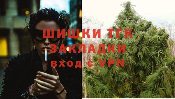 индика Бородино