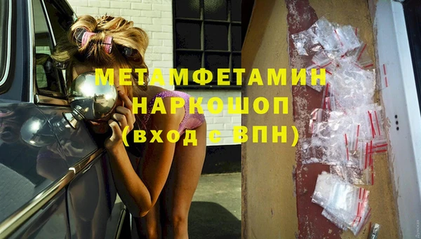 индика Бородино