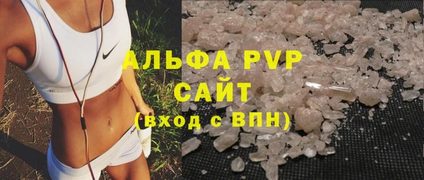 индика Бородино