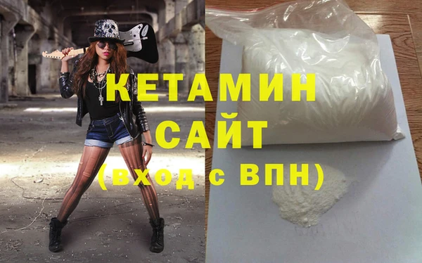 индика Бородино