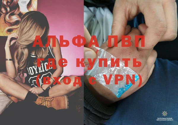 индика Бородино
