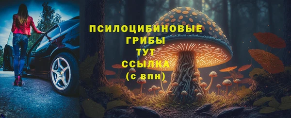 хмурый Инсар