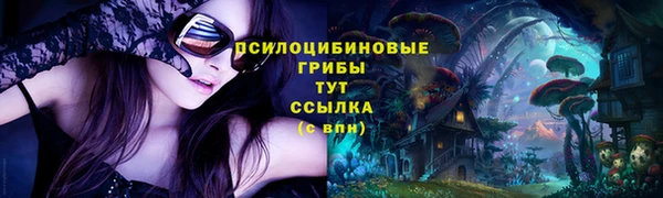 герыч Бугульма