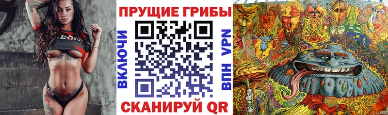 цены   Ростов  Галлюциногенные грибы Magic Shrooms 
